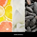 ambra-minerale-spray-do-pomieszczen-150-ml-millefiori-milanoo.webp