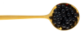 condimenteria_le-perle_cucchiaio_abm-e-tartufo.png