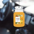 starfruit-sunshine-car-jarR (1).webp