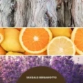 Perfumy-do-wnetrz-Milefiori-Milano-SANDALO-BERGAMOTTO-100-ml-Kod-producenta-77SRSB.webp