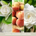white-gardenia-swieca-mini (1).webp